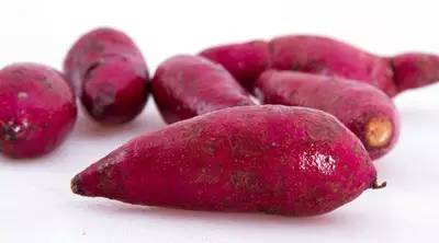 营养膳食红薯,素食养生的好处