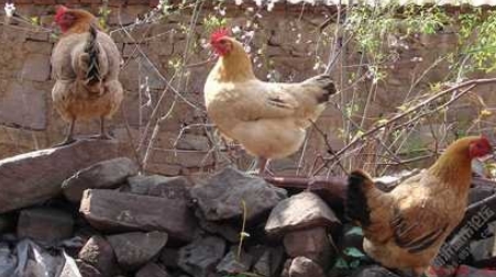 走过了几十年创业发展之路,从白手起家到千万富翁的创业故事