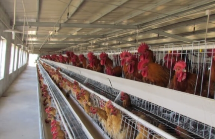 走过了几十年创业发展之路,从白手起家到千万富翁的创业故事