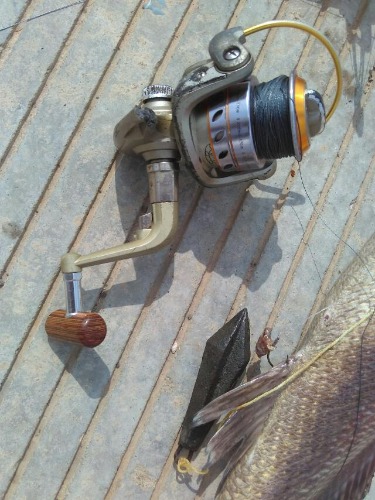 海钓米鱼讲解及示意图,海钓分析报告