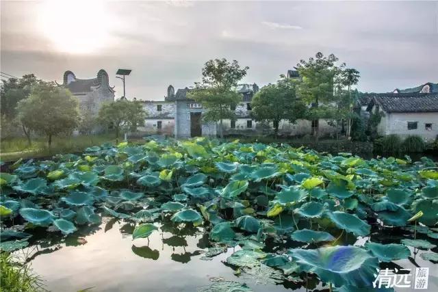 想在佛冈嗨翻天？这条路线一定让你热血沸腾！