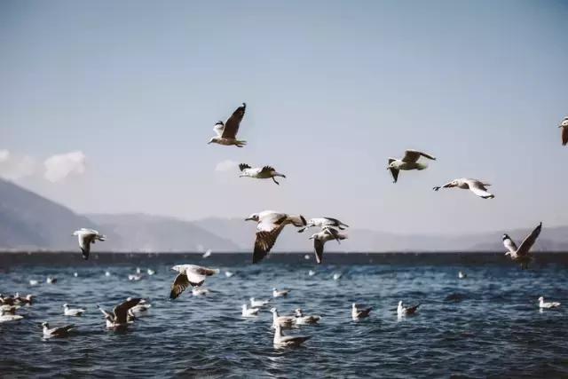 疯子charles课怎么样,疯子摄影师