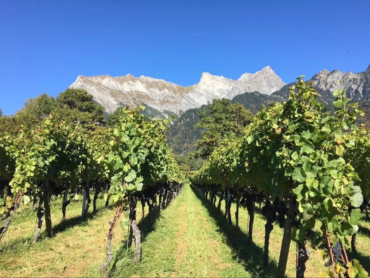 全球最精准gps定位,美国gps导航精度