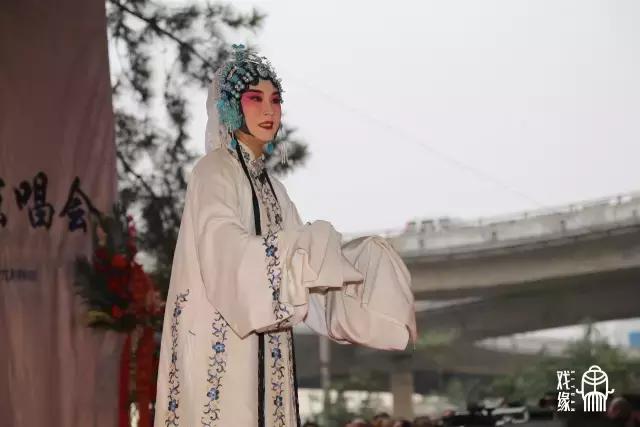 曲剧大师周玉珍演唱,曲剧名家周玉珍演出专辑