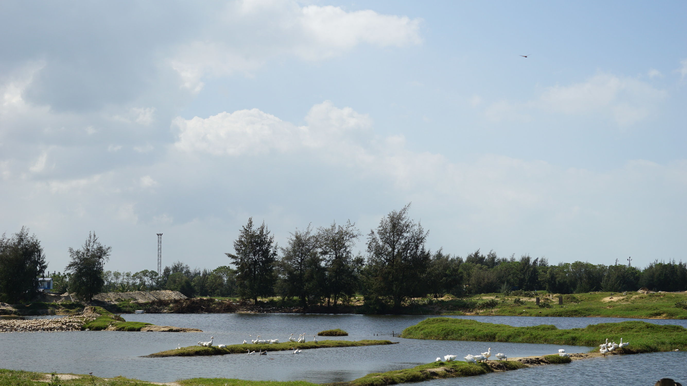 从北漂到东北,从北漂到北大