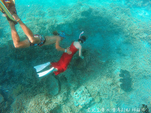 帕劳世界七大海底奇观,帕劳夕阳奇观图片