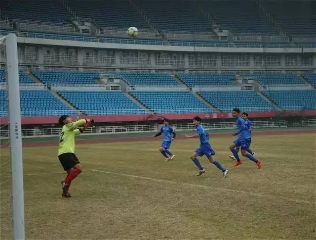 河南足球赛事新闻,河南足球今日比分结果