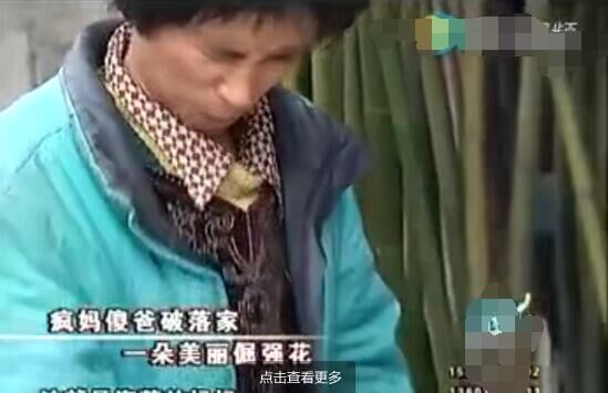 在破落家里,小海萱是朵美丽的坚强花