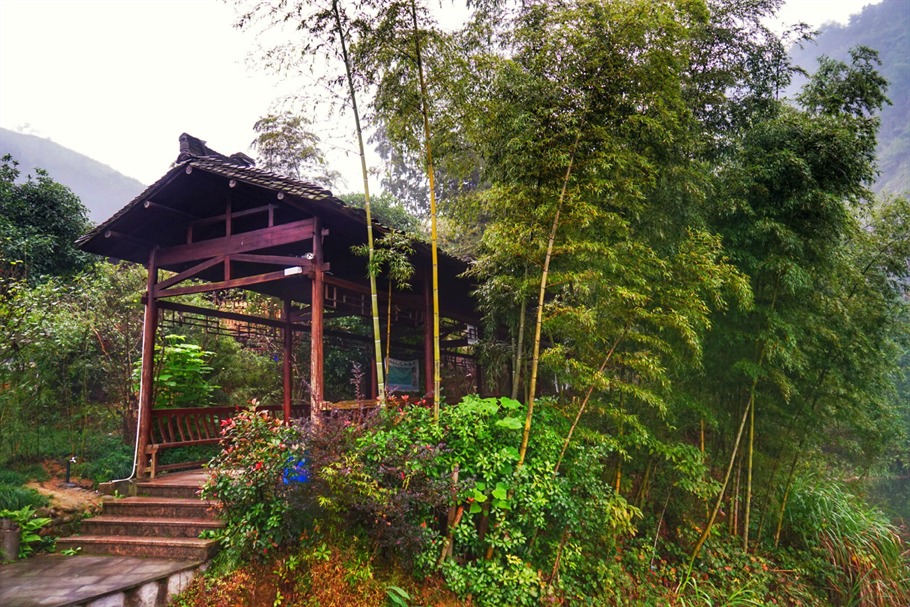 九仙湖有神仙吗,九仙湖旅游景区