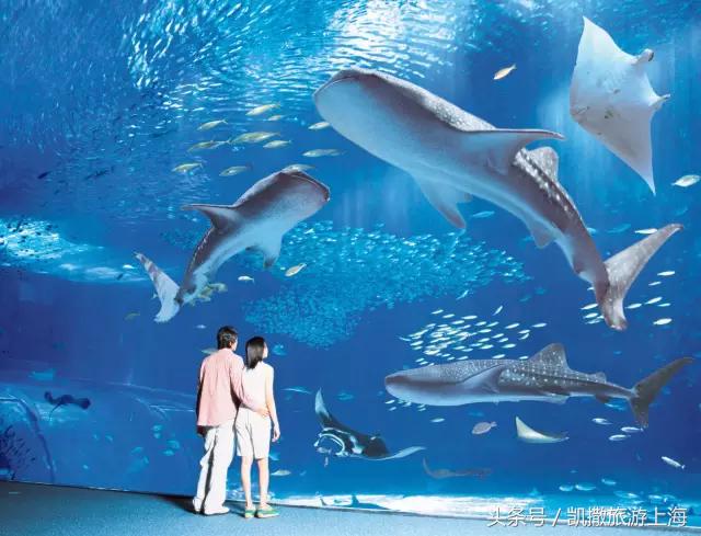 去冲绳有什么讲究,第一次去冲绳有什么好处