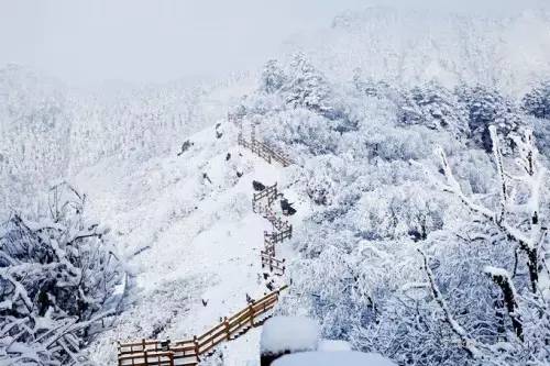 成都周边看雪山泡温泉推荐,成都周边温泉推荐一日游