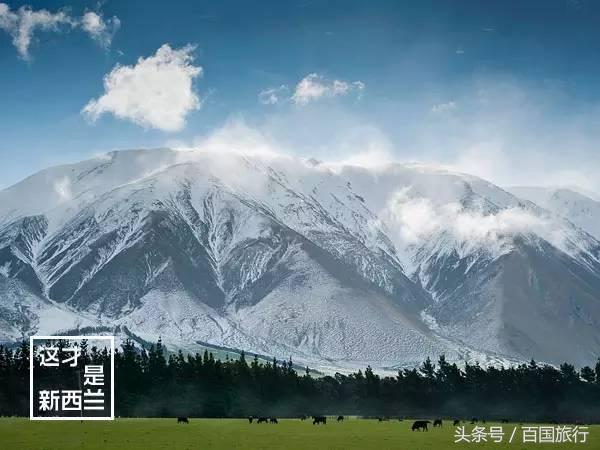 新西兰美到让人窒息,新西兰哪里最美