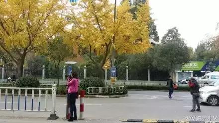 满城尽带黄金甲京剧,满城尽带黄金甲由什么改编