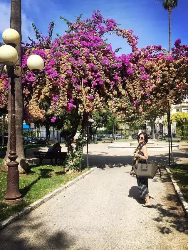 眼光*瞻高**，风景不请自来——传媒女郎的花艺跨界“小心机”