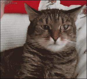 没有耳洞结婚要买金耳环吗,没有耳洞结婚饰品