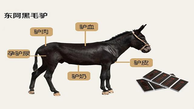 驴肉那么贵为什么养驴的很少,驴肉好吃为什么不大力发展养驴