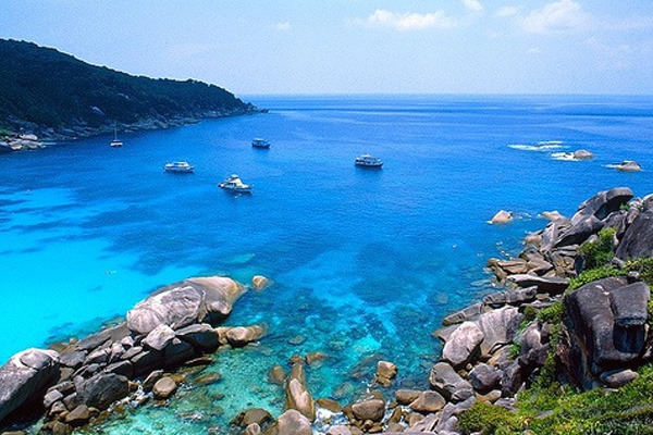 懒猫旅行淘宝海外店,自由行出境旅游发展趋势