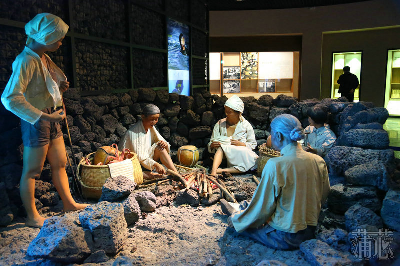 济州岛看枫叶,济州岛枫叶