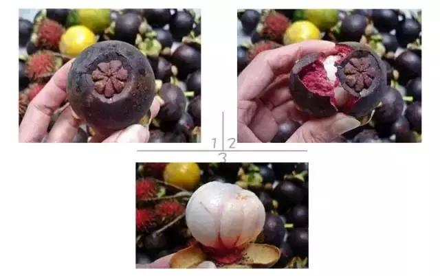 你知道如何剥香蕉吗,剥香蕉从哪边剥