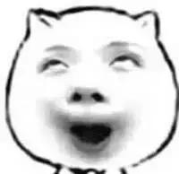 明星宝宝用什么推车,明星宝宝都用什么婴儿推车