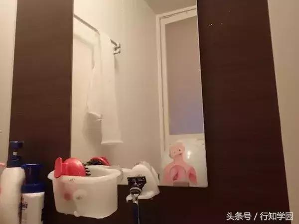 小学生杂志的附录太厉害了，一个手滑买了12本