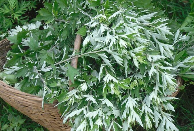 泡脚的时候水里加点这些东西,三种病不能随便泡脚