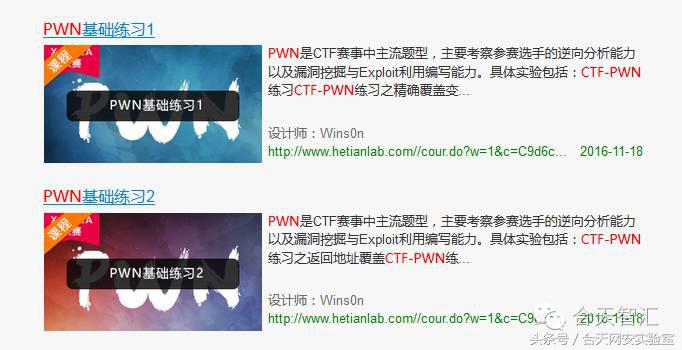 软件漏洞诊断,软件漏洞挖掘与分析