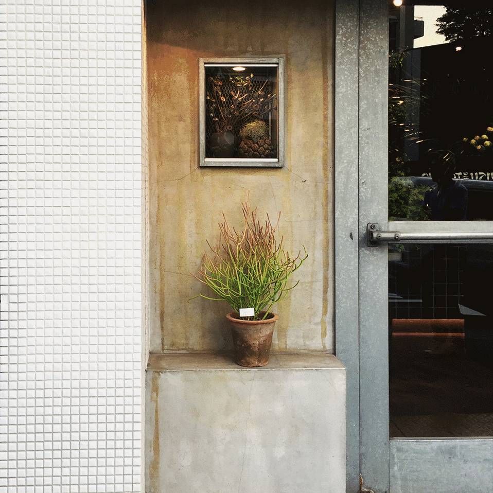 东京花店,东京南青山花店