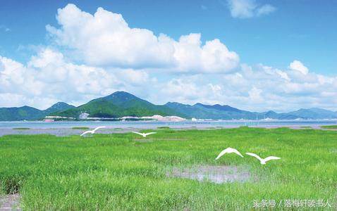 led销售新手入行方法,led销售新手需要了解什么