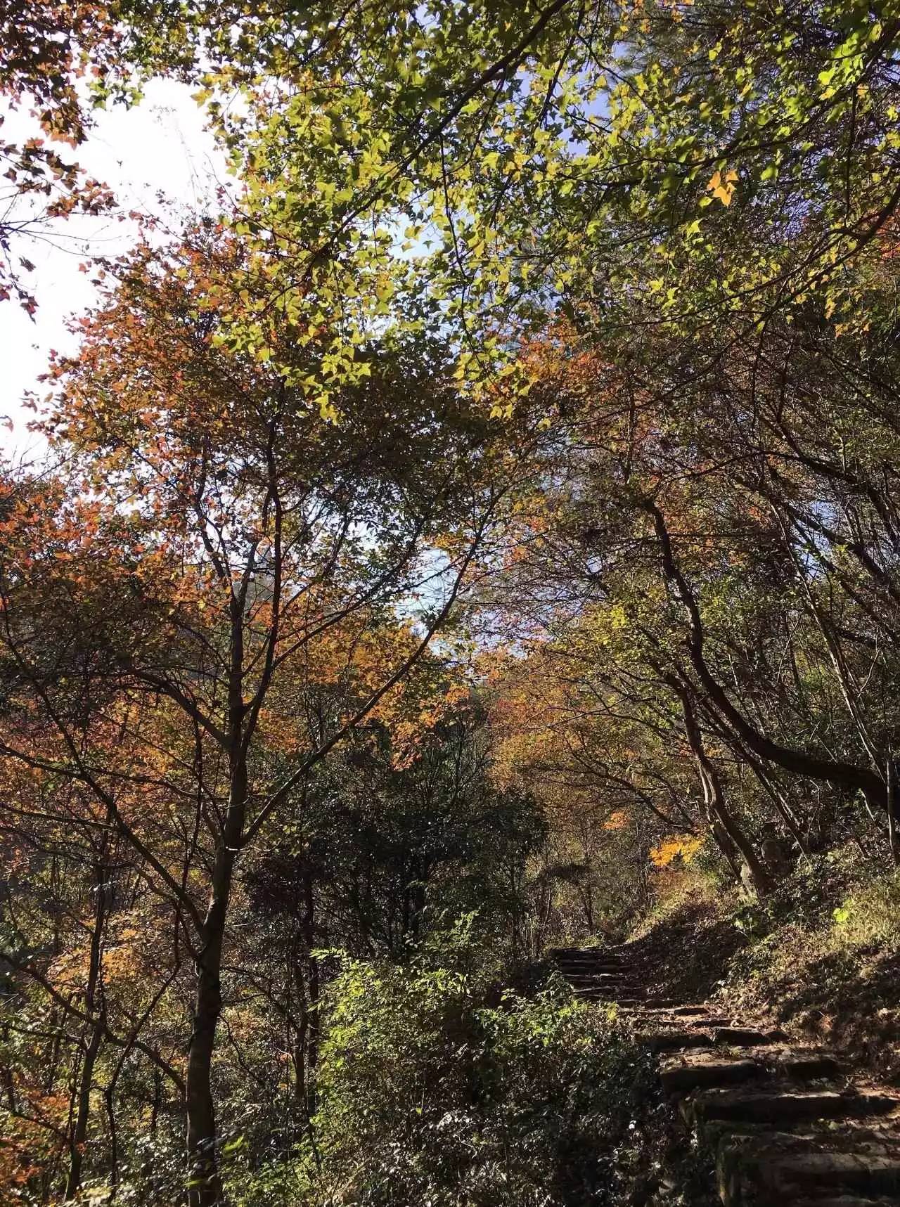 奉化溪口镇栖霞古道,宁波奉化旅游攻略完整版