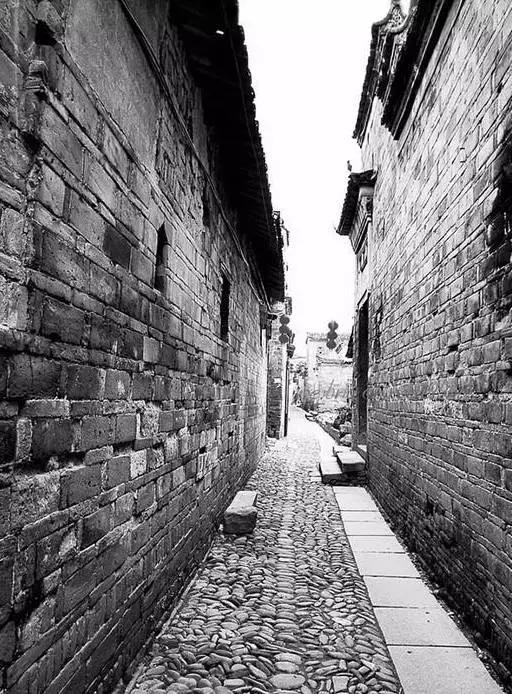 这个村庄一千年前建了个生态下水道，全村至今不淹水，生物还活着