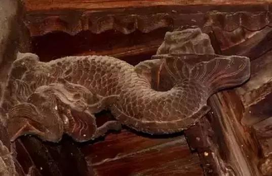 这个村庄一千年前建了个生态下水道，全村至今不淹水，生物还活着