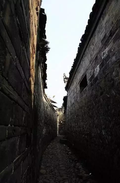 这个村庄一千年前建了个生态下水道，全村至今不淹水，生物还活着