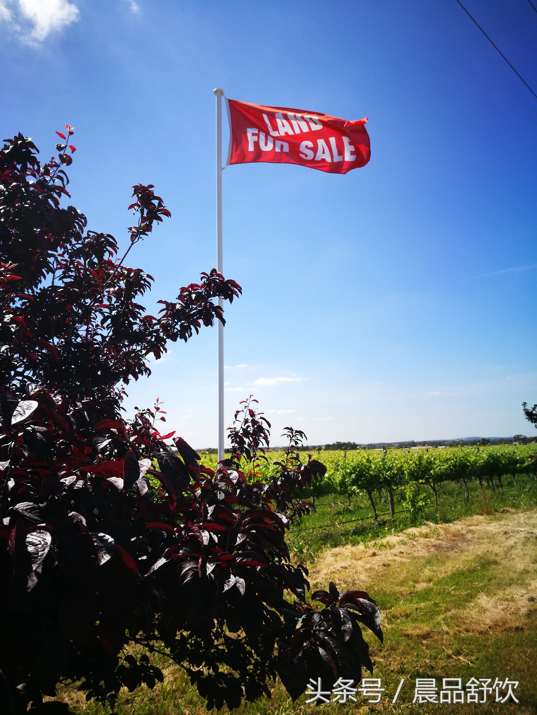 澳洲私人酒庄哪个好,想买个德国的酒庄怎么买