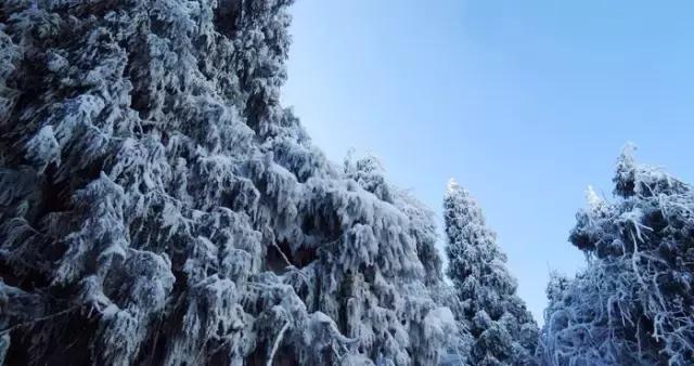成都冷空气十足,四川成都冷空气来袭