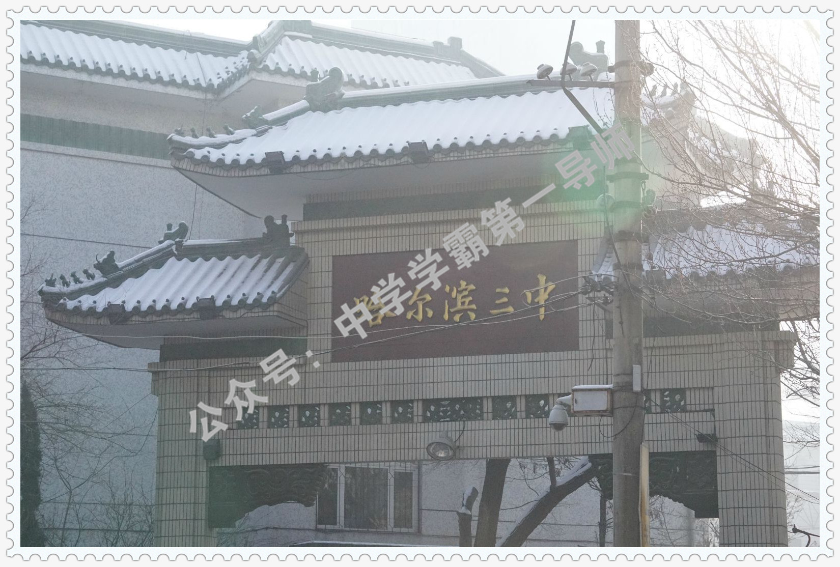 中国哈三中全国排名,哈三中985一年有多少人