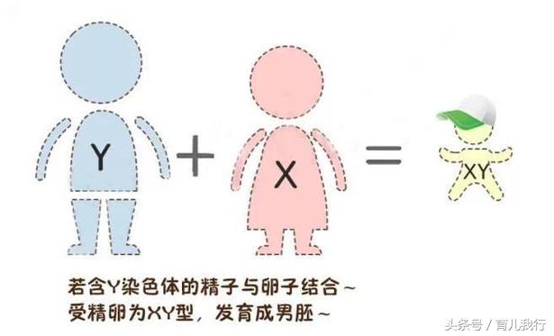 “带把”小猴王刚刚满月不久，跟大家分享下怀小猴王的备孕经验！