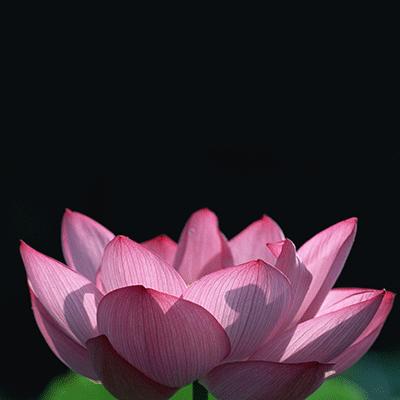 王凯靖王帅气,王凯王鸥表情包