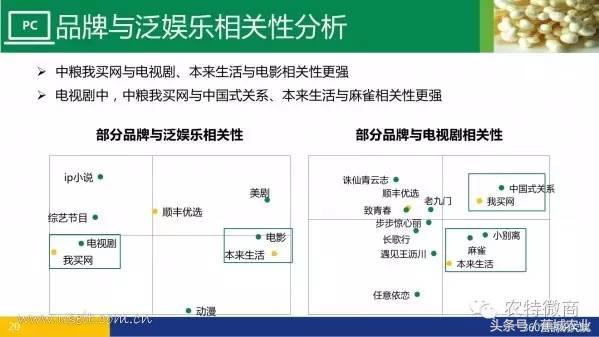 生鲜电商行业市场数据报告,中国生鲜电商发展简报2013年
