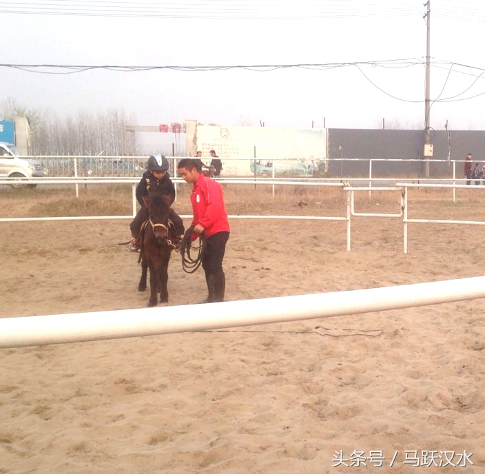 襄阳最小野骑手怎样练成（二）——上马术课