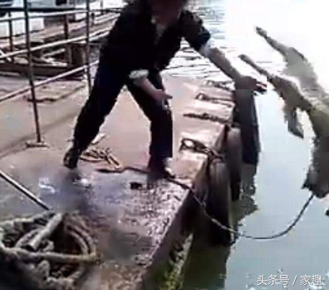 狗狗用洗衣粉洗澡,用洗衣粉给狗狗洗澡