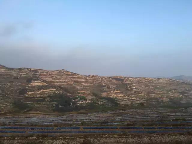 瑗垮拰鐧借妽,绉嶆鐧借妽鑷村瘜