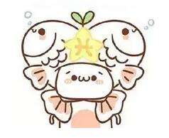 12星座如何开花店,盘点十二星座老板