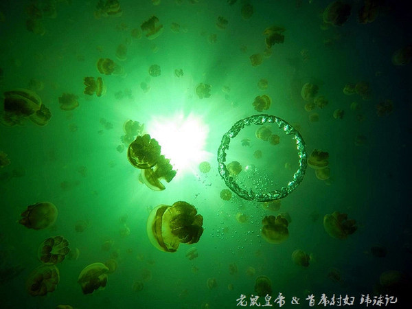 帕劳世界七大海底奇观,帕劳夕阳奇观图片