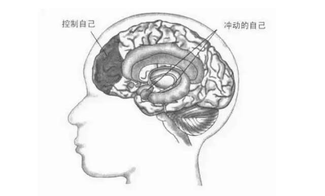 高效学习的时间越来越少了,高效学习的秘密送给迷茫的你