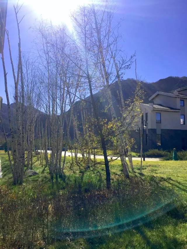 寻目的地｜灵山胜景触目是，梵音绕袅贯耳来