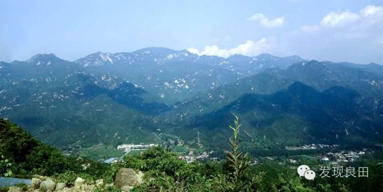 良田路演:景语菇——不忘初心,与梦同行