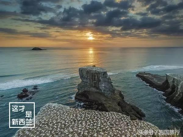 新西兰美到让人窒息,新西兰哪里最美