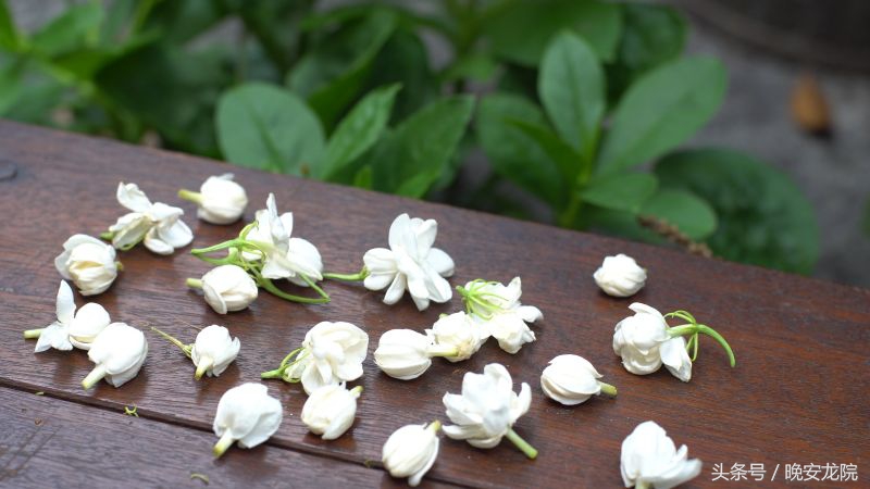 东浦老街,时间的故事动漫篇