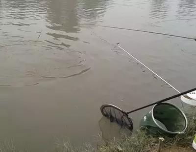 如何调侃钓鱼技术不行,新手钓鱼怎么调侃